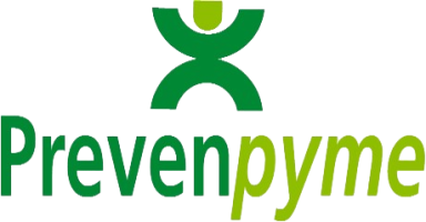 Aula Virtual Prevenpyme